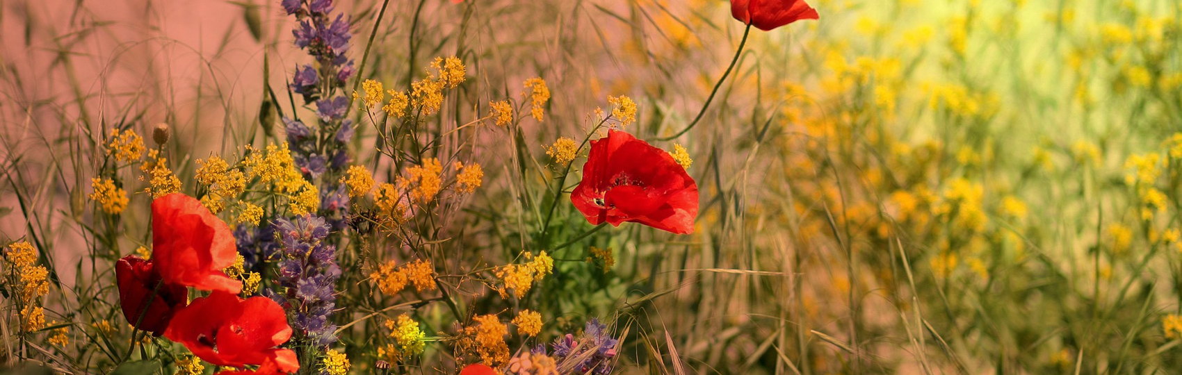 Bestattungen Mayr GBR